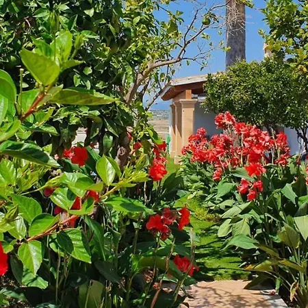 Serra -santa Margalida- Villa Santa Margalida